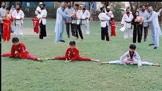 KICK Your Way to FLEXIBILITY with Taekwondo Stretching!taekwondo stretching!receive trophy & belts