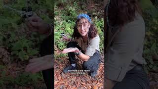 lichen subscribe! haha!