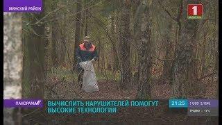 Кто ответит за сохранение природы в Беларуси? Панорама