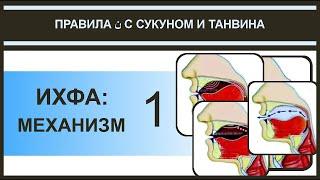 Айман Сувейд. 25. Правила нун с сукуном: ИХФА (механизм) 1 (русские субтитры)