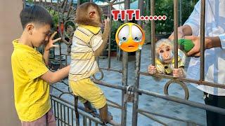 The case of Monkey TiTi being kidnapped and the pitiful cries of PiPi and his cousin