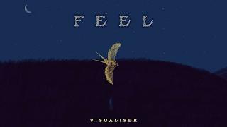 Feel - Jahnavi Harrison - Visualiser