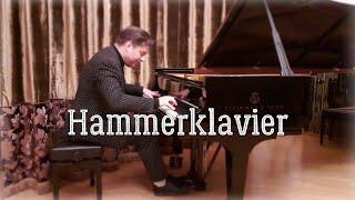 Nikolai Kurdiumov plays L.Beethoven - Sonata №29 B-flat major "Hammerklavier" I.Allegro