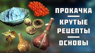 Skyrim БЫСТРАЯ прокачка Алхимии! Основы и дорогие рецепты!