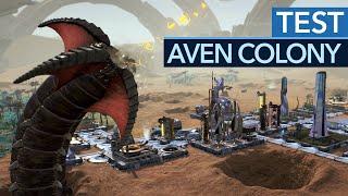 Aven Colony im Test - Anno im Weltraum, aber das Wichtigste fehlt!