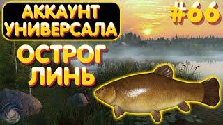 Аккаунт универсала #66 | Линь | оз. Старый Острог | Русская Рыбалка 4