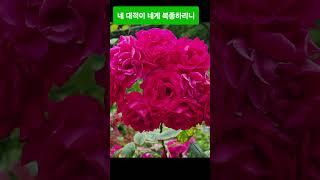 그레이스 정원에는