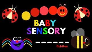 Estimulación Visual y Auditiva para Bebes 5 | Baby Sensory Infant visual stimulation