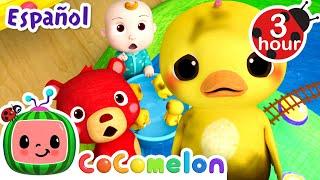 ¿Dónde están los patitos? | CoComelon y los animales | Dibujos animados para niños