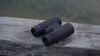 SVBONY SA205 10X42 ED Flat Field Binoculars for Nature Observation, Tourism, and Sports Watching