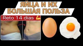 ЯЙЦА И ИХ БОЛЬШАЯ ПОЛЬЗА!