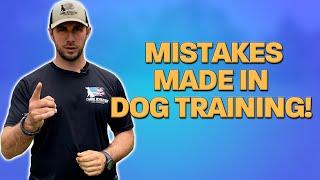 Top Mistakes Made in Dog Training