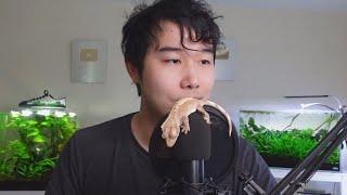 Fish For Thought Q&A 2023