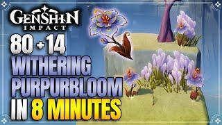 Withering Purpurbloom Locations | Fast and Efficient | Chasca Ascension Materials【Genshin Impact】