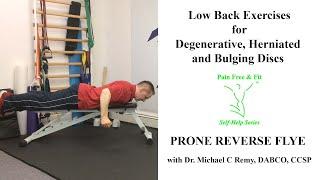 Degenerative Disc Disease L2 L3 L4 L5 S1 Exercises -Prone Reverse Flyes