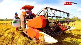 Rice Harvesters | Rice Combine Harvester |  Song for kids in VietNam