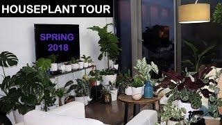 HOUSEPLANT TOUR | SPRING 2018 | Crazy Plant Guy