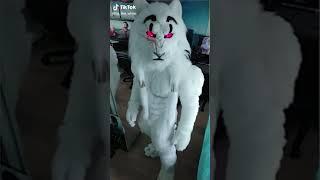 FURRY CRINGE | funny meme #shorts