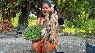 Cook Frog With Green Chilli and Eat