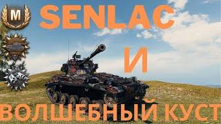 Волшебный куст на Малиновке. Senlac в деле.