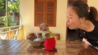 Stunning Max Sit Backward Monkey Language Gesture With His Peanut & Mom