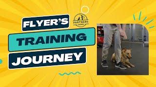 Partners Dog Training Journey | Flyer