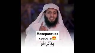 Невероятная красота Коран#сура #дагестан #quran #коран #россия #таджикистан #узбекистан #duet #дуне