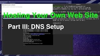 Hosting Your Own Website III: DNS Setup
