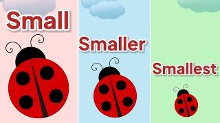 Small Smaller Smallest || Compare Sizes || Kindergarten Lessons || Math for Kids Episode 5.1