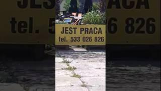Польша Краков. Нужна работа? Звоните! Увидели сегодня 6.06.25. Poland. Work #work #praca #shorts