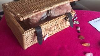 Crystal Healing Essential Toolkit