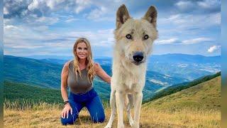 SUPER WOLFDOGS of ITALY - Socialisation & Training