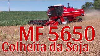 Colheita da Soja Safra 2024MF 5650