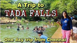 A Trip to TADA FALLS | One Day Trip from Chennai | Ubbalamadugu Falls | Andhra Falls
