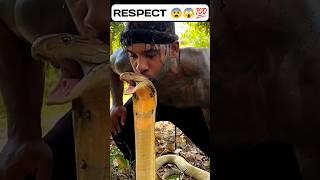 Respect  #shorts #snake #respect