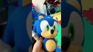 Sonic sings