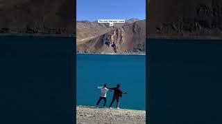 Do you need same Therapy ? Ladakh        #shortsfeed #shortsviral #shorts #nature #naturelovers