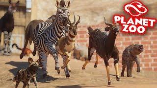 Planet Zoo: Battle Royale - All Animals! I Regret This...