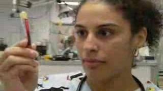 Career Profiles: Small Animal Veterinary Technician