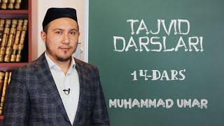 Tajvid darslari | #14 | Mad turlari | Muhammad Umar