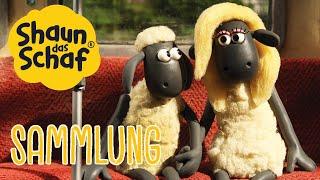 Staffel 2 Episoden 16-20 | Shaun das Schaf Ganze Folgen Sammlung