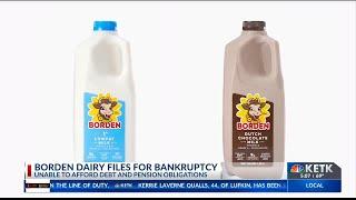 Borden Dairy Co. files for bankruptcy