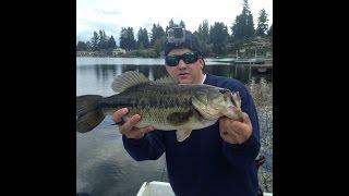 Catching a Largemouth on a hand poured Arkie Jig from Do-It Molds