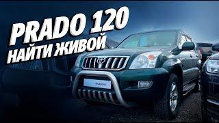 ПОДБОР PRADO 120. Найти среди битых, ржавых, с гнилым VIN