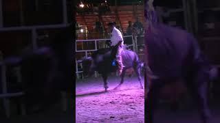 Le Metió Cintura #guerrerodeljaripeo  #jaripeo #jinete