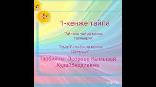 1-кенже тайпа онлайн сабак