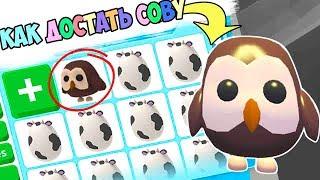 How to get an Owl!!! farm eggs in adopt mi. farm egg adopt me in roblox