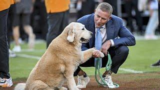 Kirk Herbstreit cries paying tribute to late service dog Ben