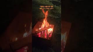 가을밤 애견동반 캠핑  반려견과 캠핑 , 불멍하기  애견동반 캠핑장 추천 ,영종도 캠핑 을왕리 왕산 #불멍 #캠핑 #반려견 #반려견캠핑 나혼자산다 잔나비 음악배경