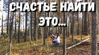 СЧАСТЬЕ НАЙТИ ЭТО... Копаю в лесу серебро и другие монеты царской России и времен СССР